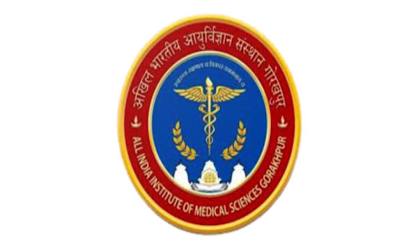 All India Institute of Medical Sciences Gorakhpur Bharti 2024 : ऑल इंडिया इंस्टिट्यूट ऑफ़ मेडिकल साइंस गोरखपुर भर्ती 2024