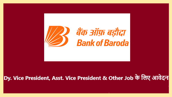 Bank of Baroda Bharti 2024 : बैंक ऑफ बड़ौदा भर्ती 2024