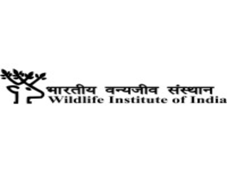 Wildlife Institute of India Bharti 2024 : वाइल्डलाइफ इंस्टिट्यूट ऑफ़ इंडिया भर्ती 2024