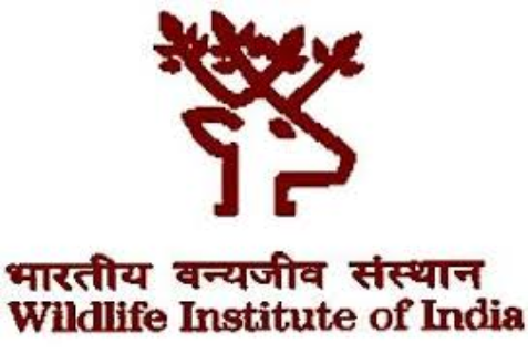 Wildlife Institute of India Bharti 2024 : वाइल्डलाइफ इंस्टिट्यूट ऑफ़ इंडिया भर्ती 2024